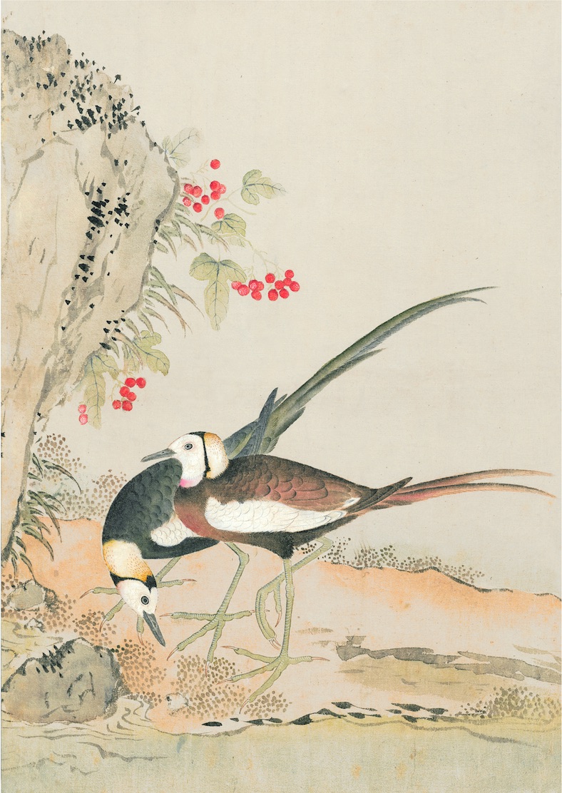 JAPANESE BIRDS