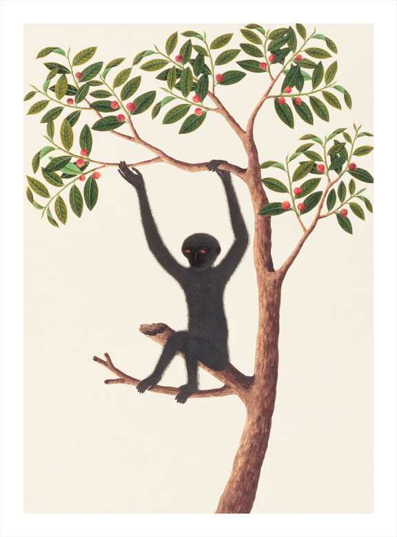 ANGLO-INDIAN ANIMALS