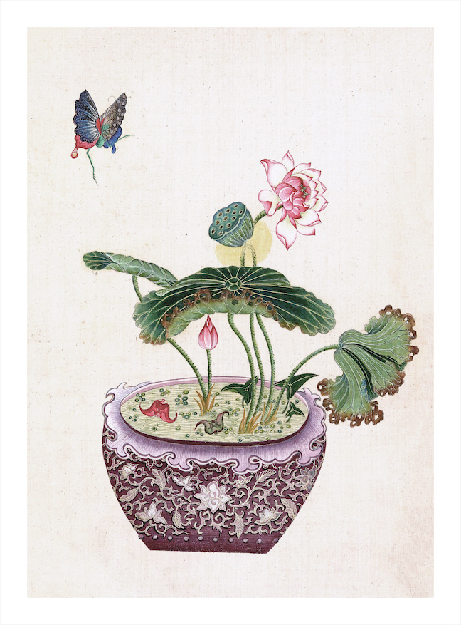 CHINESE BONSAI TREES