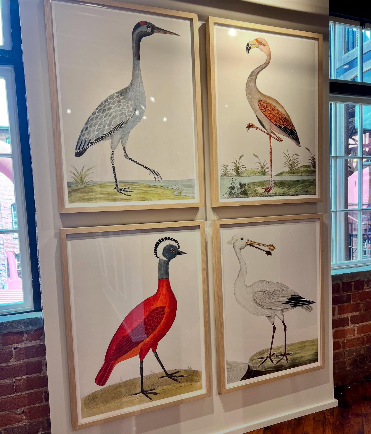 Good Morning from High Point!πΏCome see us at our EXPANDED Showroom in MARKET SQUARE #246 (Next to @thibaut_1886), and our NEW space in SAMS @ Salon G-6032. πΌπ¦ππΈππΏ #hpmkt #hpmkt2025 #interiordesign #art #gallery #birds #interiors #botanicals #gallerywall #ornisgallery #artwall #designonhpmkt #homedecor #framedart