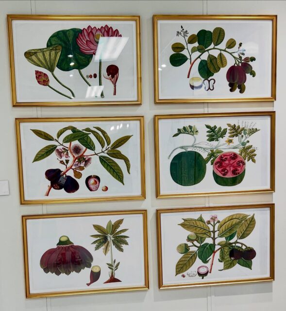 Happy Friday!πΏA grouping of our βAnglo-Indian Botanicals IIβ in @larsonjuhl Antique Gold moulding. πΈπΌπΈ #americasmartatl #hpmkt #hpmkt2025 #interiordesign #art #gallery #birds #interiors #botanicals #gallerywall #ornisgallery #artwall #homedecor #framedart #modernart