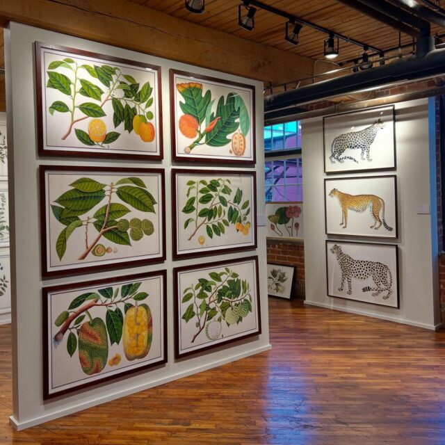 Happy Saturday from High Point!πΏCome see us at our EXPANDED Showroom in MARKET SQUARE #246 (Next to @thibaut_1886) and, our NEW space in SAMS in Salon G-6032. πΌπ¦ππΈππΏ #hpmkt #hpmkt2025 #interiordesign #art #gallery #birds #interiors #botanicals #gallerywall #ornisgallery #artwall #designonhpmkt #homedecor #framedart