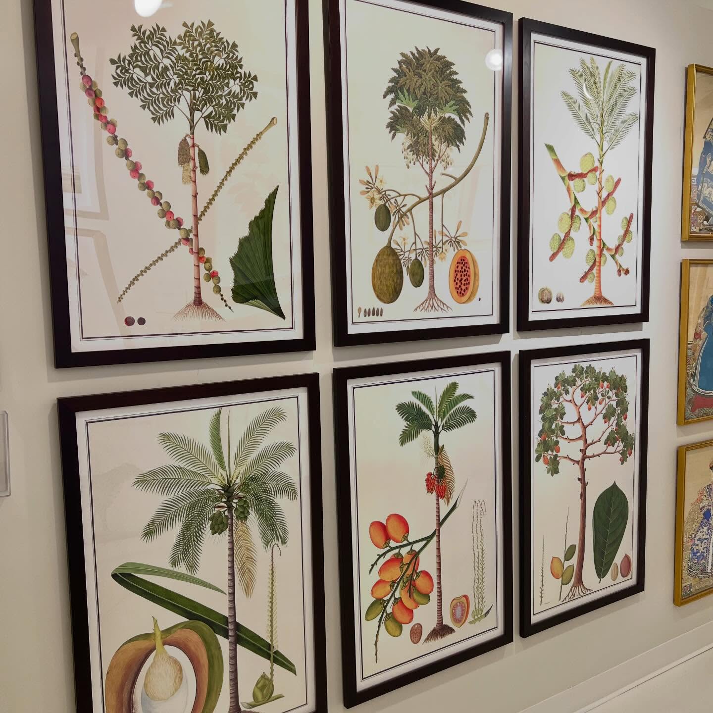 Happy Thursday from ATLANTA! Hereβs a NEW collection of our Anglo-Indian Trees. πΏ Come see us in Building 1, Floor 10, Suite C3. πΌπ¦ππΈππΏ #americasmartatl #interiordesign #art #gallery #framedart