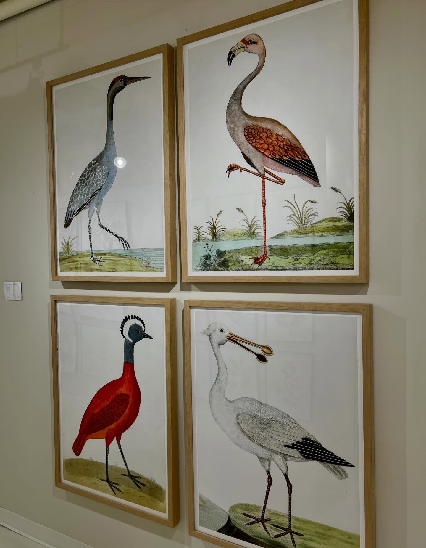 HAPPY FRIDAY! πΏ Hereβs a grouping of our English Aquatic Birds. Come see us in Building 1, Floor 10, Suite C3 @ @americasmartatl. πΌπ¦ππΈππΏ #americasmartatl #interiordesign #art #gallery #birds