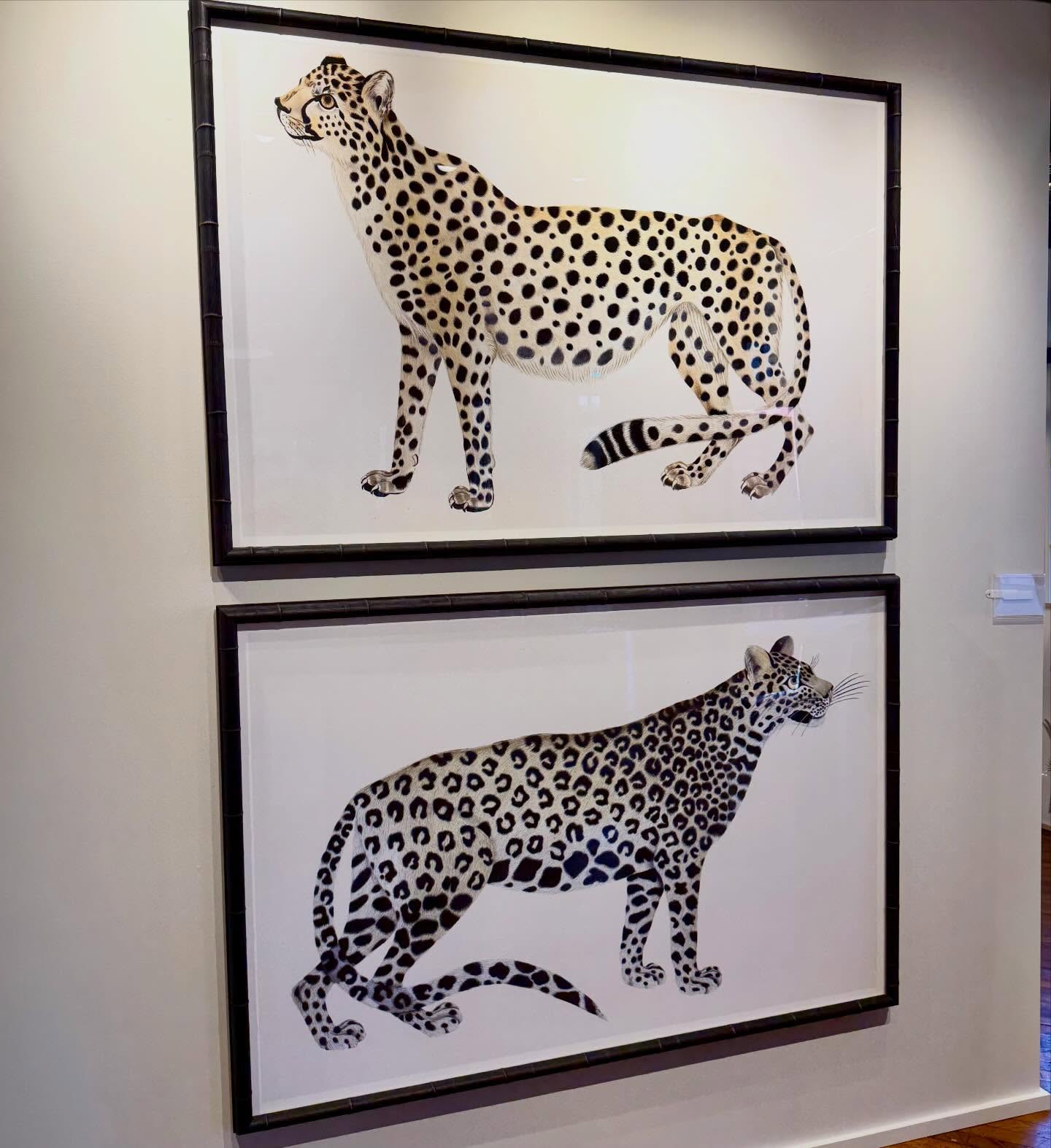 Good Morning from High Point!πΏCome see us at our EXPANDED Showroom in MARKET SQUARE #246 (Next to @thibaut_1886)! πΌπ¦ππΈπΏ #hpmkt #hpmkt2026 #interiordesign #art gallery birds interiors botanicals gallerywall ornisgallery artwall designonhpmkt homedecor framedart