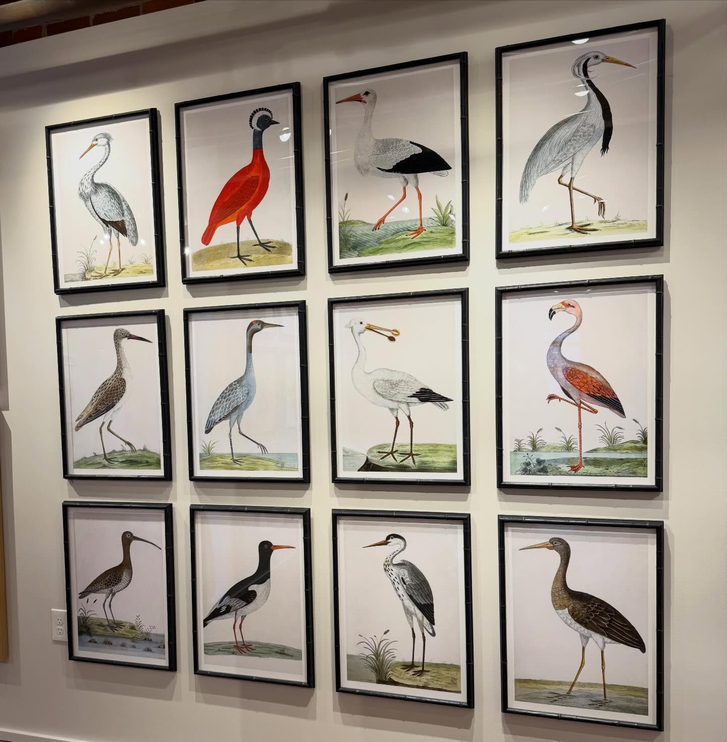 Happy Tuesday from High Point!πΏCome see us at our EXPANDED Showroom in MARKET SQUARE #246 (Next to @thibaut_1886)! πΌπ¦ππΈπΏ #hpmkt #hpmkt2026 #interiordesign #art gallery birds interiors botanicals gallerywall ornisgallery artwall designonhpmkt homedecor framedart