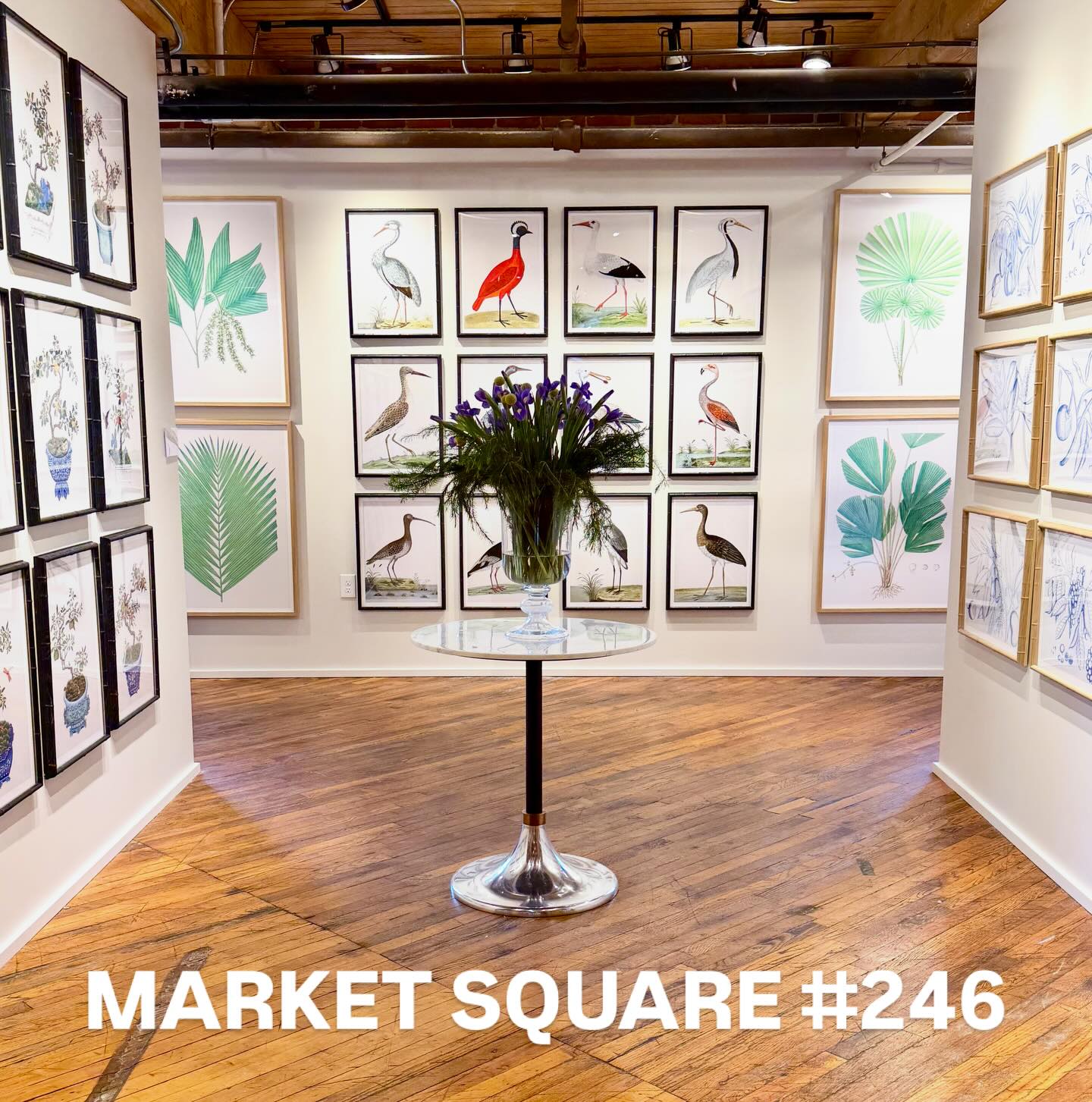 Happy Saturday from High Point!πΏCome see us at our EXPANDED Showroom in MARKET SQUARE #246 (Next to @thibaut_1886)! πΌπ¦ππΈπΏ #hpmkt #hpmkt2026 #interiordesign #art gallery birds interiors botanicals gallerywall ornisgallery artwall designonhpmkt homedecor framedart