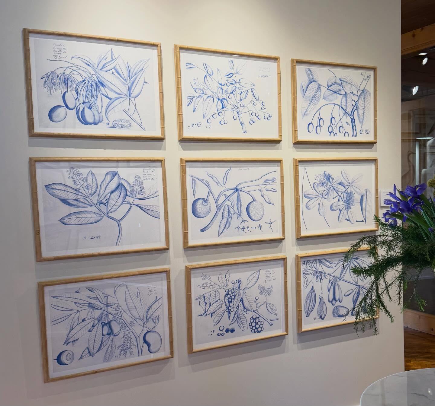 Good Morning from High Point!πΏCome see us at our EXPANDED Showroom in MARKET SQUARE #246 (Next to @thibaut_1886)! πΌπ¦ππΈπΏ #hpmkt #hpmkt2026 #interiordesign #art gallery birds interiors botanicals gallerywall ornisgallery artwall designonhpmkt homedecor framedart