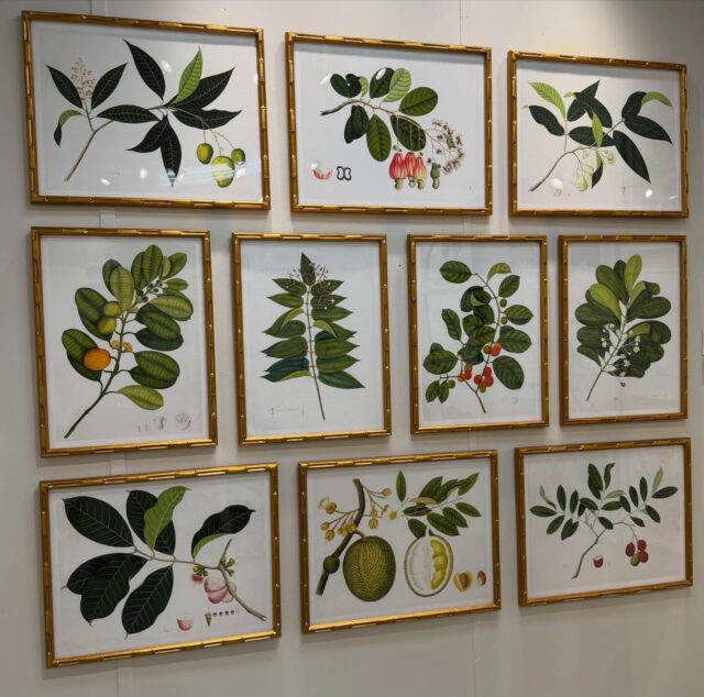 Good Morning from High Point!πΏCome see us at our EXPANDED Showroom in MARKET SQUARE #246 (Next to @thibaut_1886)! πΌπ¦ππΈπΏ #hpmkt #hpmkt2026 #interiordesign #art gallery birds interiors botanicals gallerywall ornisgallery artwall designonhpmkt homedecor framedart